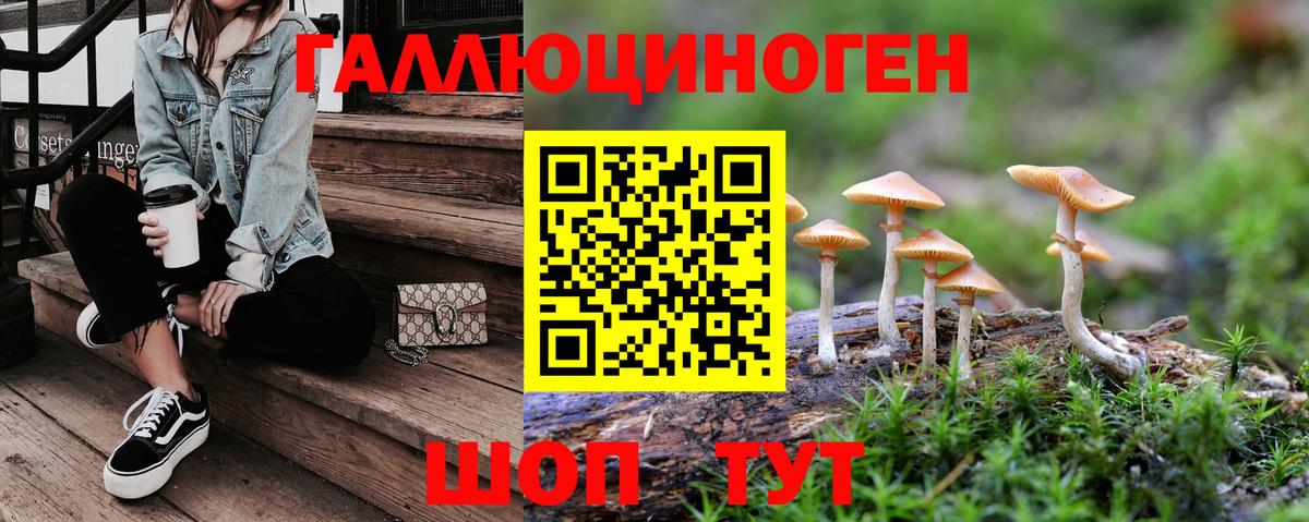 Псилоцибиновые грибы Cubensis  Вход с VPN  Родники 